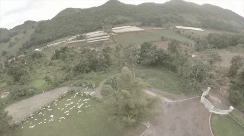 Birds fly around compound on mountain Stock Footage 62527319
