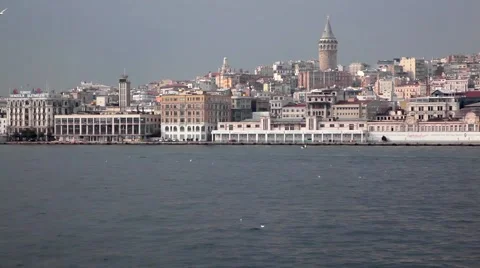 Birds fly around a landscape view of the Istanbul skyline. Stock Footage 59309540