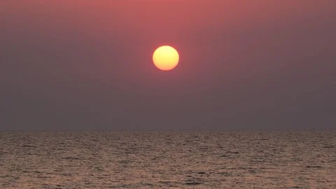 Birds fly on background of rising sun over sea at dawn Stock Footage 88342279