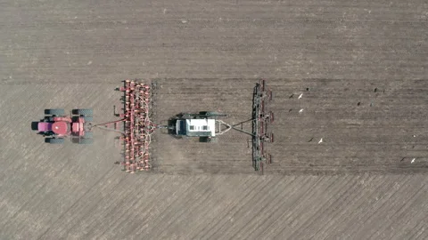 Birds fly behind a tractor in the field Stock Footage 242519143