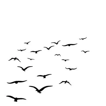 Birds fly in circles Stock Illustration