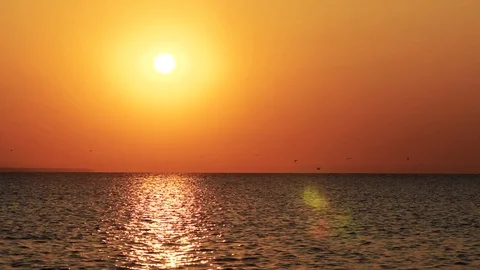 Birds fly during dawn over the sea Stock Footage 118060822