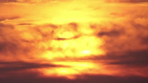 Birds fly in the evening sky Stock Footage 158015414