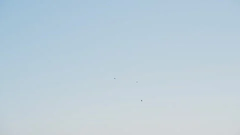 Birds fly in the evening sky Vidéo 329092445