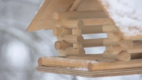 Birds fly up to the feeder and take the grain and fly, macro photography Video stock 71613633