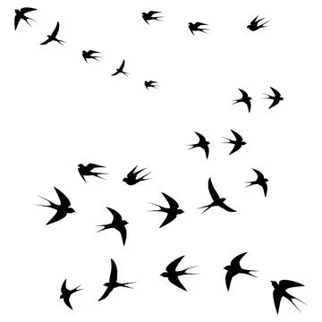 Birds fly in flocks Stock Illustration
