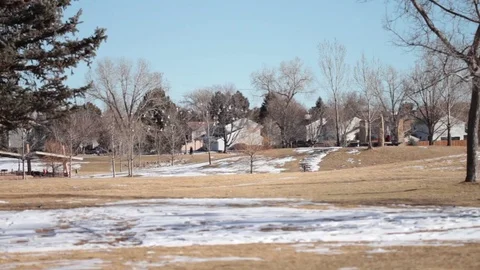 Birds fly Stock Footage 71769324