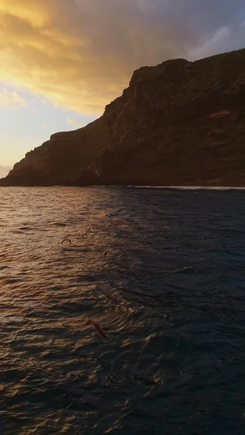 Birds fly gracefully over the ocean water near cliffs during a stunning sunset 스톡 동영상 308408319