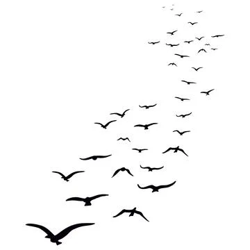 Birds fly high Stock Illustration
