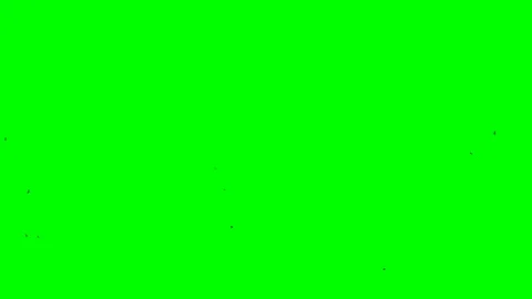 Birds fly high in the sky from left to right green screen looped Stock Footage 105292539