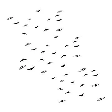 Birds fly Stock Illustration