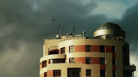 Birds fly over the building Stock Footage 8836562