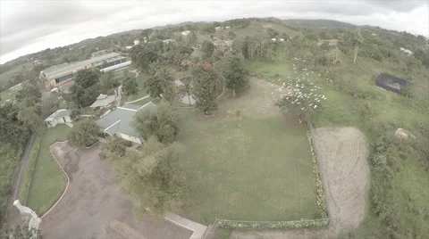 Birds fly over compound on mountain Stock Footage 62527571