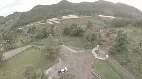 Birds fly over compound on mountain 2 Stock Footage 62528008