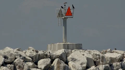 Birds fly over the lighthouse on the ocean coast. Summer, daytime. Stock Footage 106313225