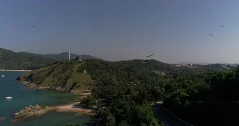 Birds fly over part of the beach and trees on the shore, the road and buildi Stock Footage 132907188