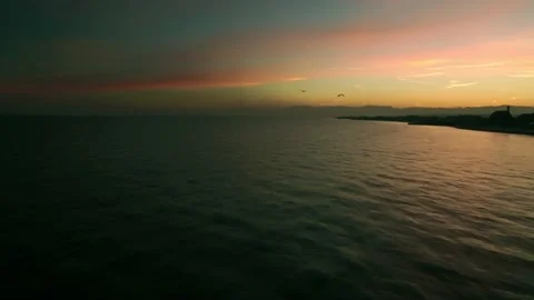 Birds Fly Over Quiet Beach at Dawn Aerial Drone Shot Stock Footage 196090642