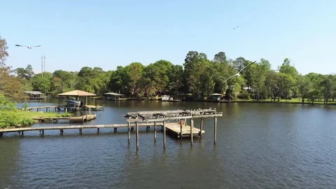 Birds fly over river Stock Footage 127243142