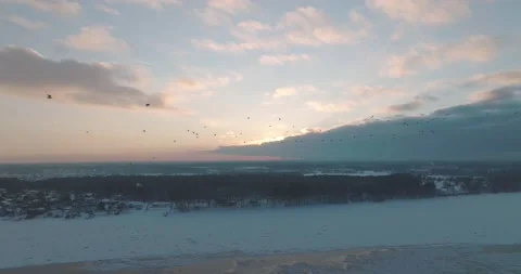 Birds fly over the river in winter 動画素材 183090737