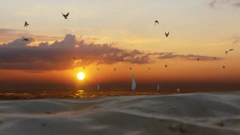 Birds Fly over Wild Beach During Sunset Full HD Stock Footage 229622119