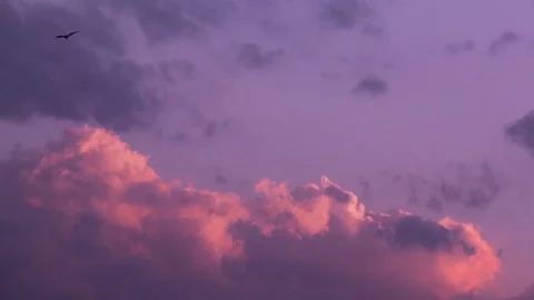 Birds Fly past Realtime With Clouds Stock Footage 76484704