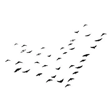 Birds fly in a school Stock Illustration