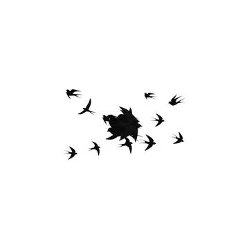 Birds fly from a single point on a white background Stock Illustration