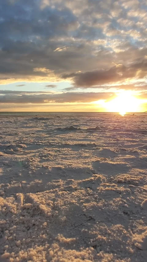 Birds fly at sunset at beach vertical slow motion 60fps Video stock 240642794