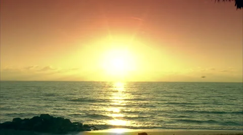 Birds fly at sunset Video stock 986588