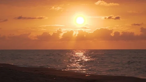 THE BIRDS FLY AT SUNSET Stock Footage 110763221