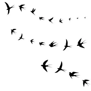 Birds fly together Stock Illustration