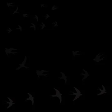 Birds fly in two flocks on a black background Stock Illustration