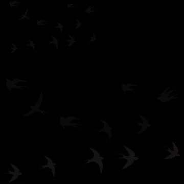 Birds fly in two flocks on a black background Stock Illustration