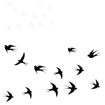 Birds fly in two flocks Stock Illustration