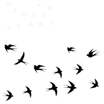 Birds fly in two flocks Stock Illustration