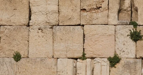 Birds fly to the Wailing Wall during the panoramic move Stock Footage 105075307