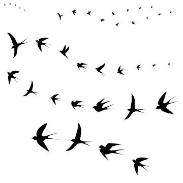 Birds fly to warm countries Illustrazione stock