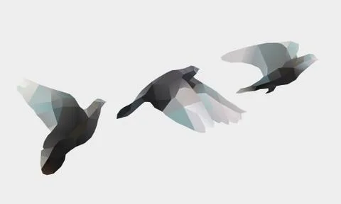 Birds fly on white Stock Illustration