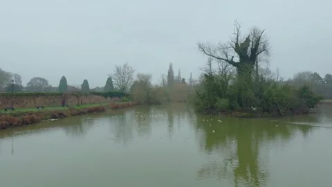 Birds flying above city pond during overcast day. Urban water landscape with Stock Footage 329067553