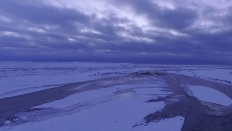 Birds flying above river and sea beyond part 3 Stock Footage 82872017
