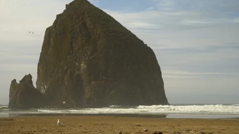 Birds flying across Haystack Rock Uncolored Stock Footage 102413944