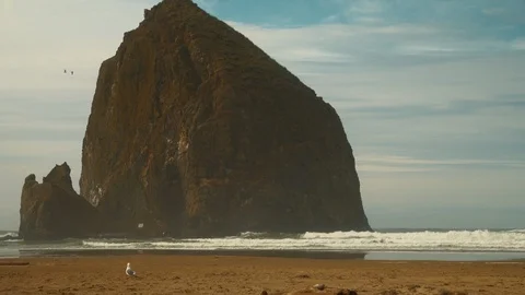 Birds flying across Haystack Rock as waves roll in on Cannon Beach 库存影片 102413948