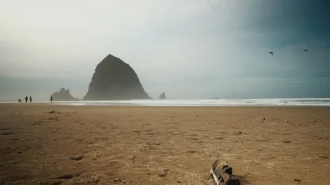 Birds flying across Haystack Rock as People walk on Cannon Beach in October 库存影片 102414166