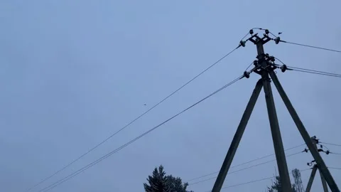 Birds flying on and around a high-voltage power line. Cloudy winter weather. Stock Footage 169081600