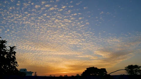 Birds flying and enjoying the sunset with beautiful scattered clouds Stock Footage 246723729
