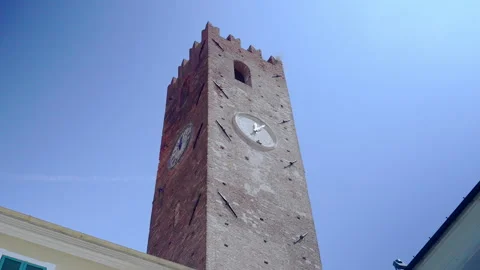 Birds flying around a brick clock tower viewed from below Stock Footage 346758129