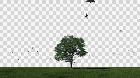 Birds flying around a green tree, Alpha Channel Stock Footage 313615061