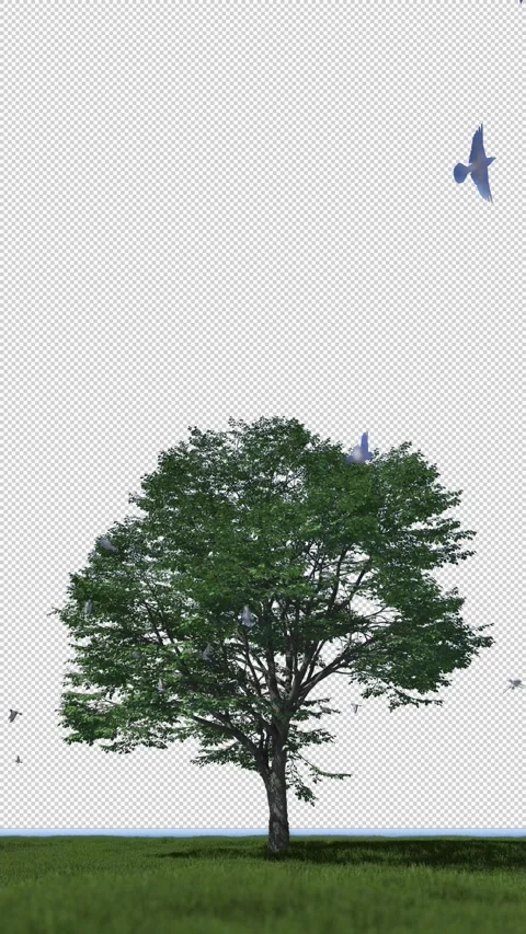 Birds flying around a green tree, vertical video Alpha Channel Stock Footage 334102097