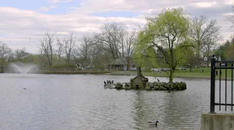 Birds flying around structure and floating in lake Stock Footage 49940160