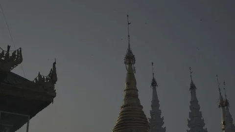 Birds flying around temple spires in Yangon, Myanmar Stock Footage
